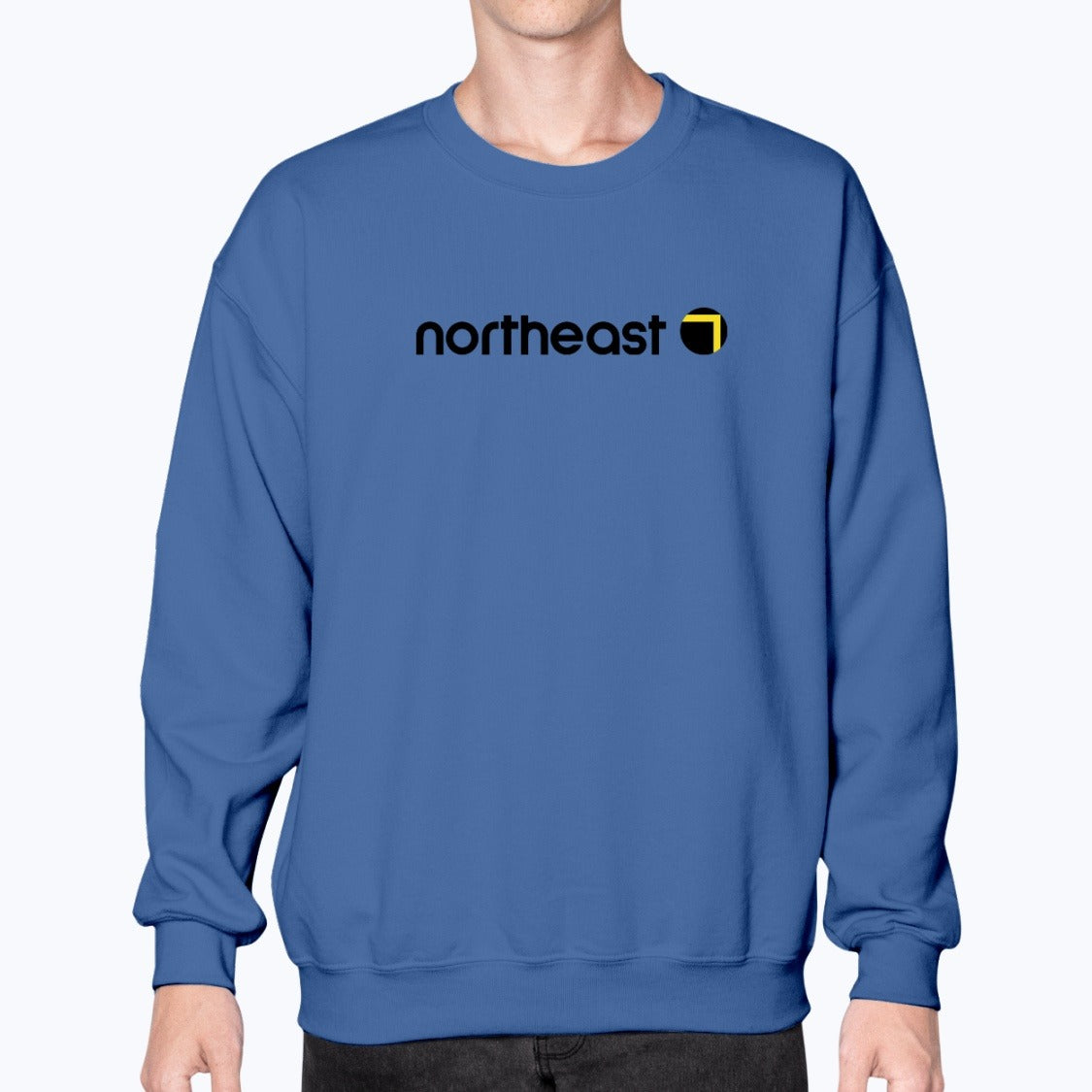 Northeast Airlines UK Unisex Sweatshirt - Royal Blue - Model