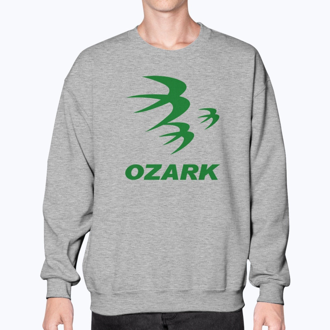Ozark Air Lines Unisex Sweatshirt - Sport Grey - Model
